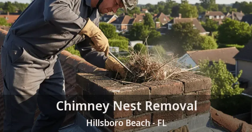 Chimney Nest Removal Hillsboro Beach - FL