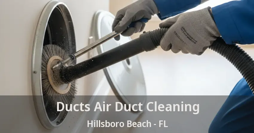 Ducts Air Duct Cleaning Hillsboro Beach - FL