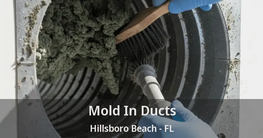 Mold In Ducts Hillsboro Beach - FL
